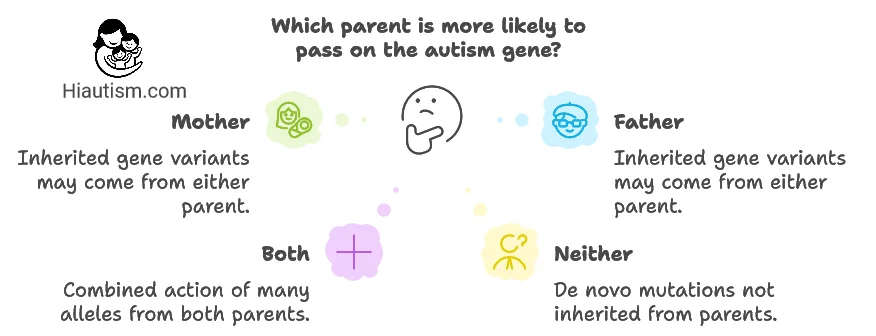 Who Carries the Autism Gene: Mother or Father?